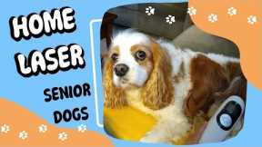 How to Use a Cold Laser at Home for a Senior Dog | Laser Therapy for Senior Dogs