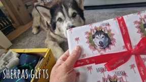 Lucky Husky's Birthday Gifts are Amazing! Part 1