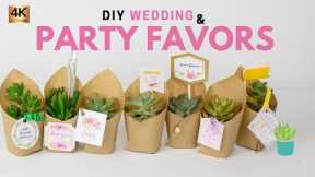 How to Make Wedding Succulent Favors | Party Favors