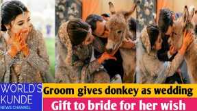 Groom gives donkey as wedding gift to bride @worldskunde