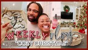 A COZY WEEK IN MY LIFE| Cooking, DIY Projects, Homemade Dog Food + Baking| Christmas Vlog