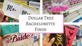 Bachelorette Party & Bridal Shower Finds & Goods at Dollar Tree with Glassware & Decor on a Budget