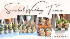 Succulent Wedding Favours / Gifts/ Bombonieres/ Giveaways