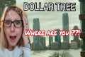 DOLLAR TREE- WHERE ARE YOU ??!! 