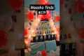 Birthday Decoration Meesho | Meesho