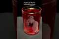 A whiskey glass celebrates love of