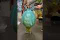 Money surprise balloon, birthday,